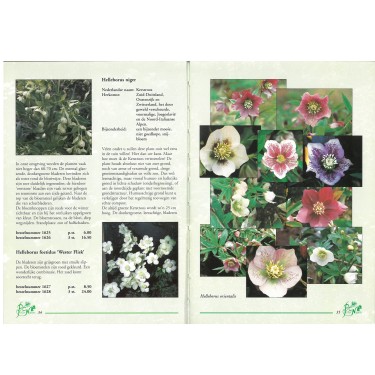 Catalogus 1995, voorjaar Catalogus 1995, voorjaar