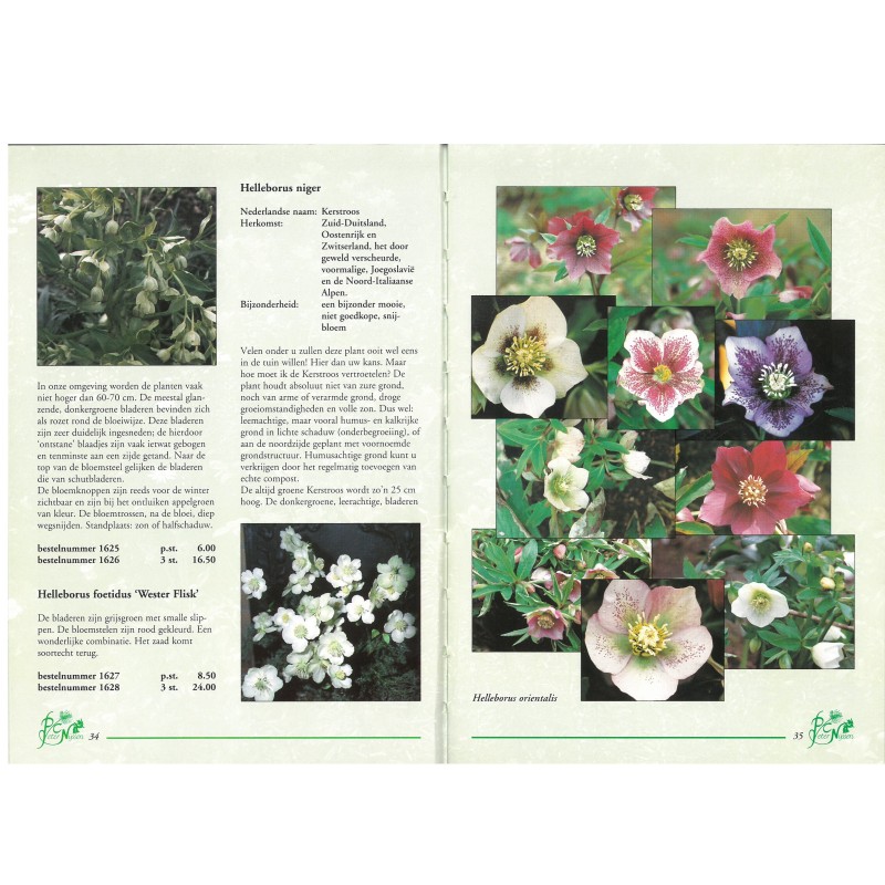 Catalogus 1995, voorjaar Catalogus 1995, voorjaar