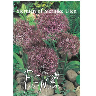 Catalogus 1995