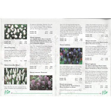Catalogus 1995