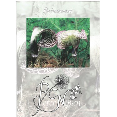 Arisaema brochure