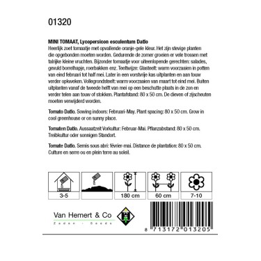 Mini-Tomaat, Lycopersicon esculentum 'Datlo' -zaden- Mini-Tomaat, Lycopersicon esculentum 'Datlo' -zaden-