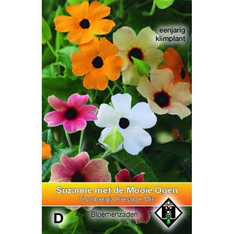 Thunbergia alata 'Prestige Mix' -zaden-