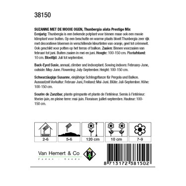 Thunbergia alata 'Prestige Mix' -zaden-