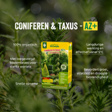 Coniferen & Taxus-AZ 800 gram