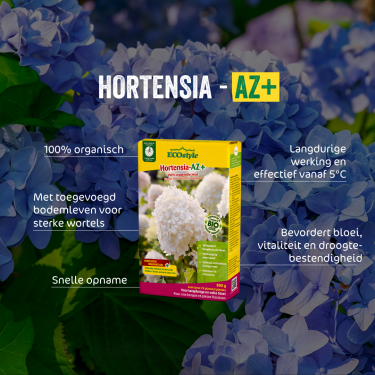 Hortensia-AZ 1,6 kg. Hortensia-AZ 1,6 kg.
