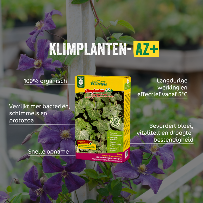 Klimplanten-AZ 800 gram