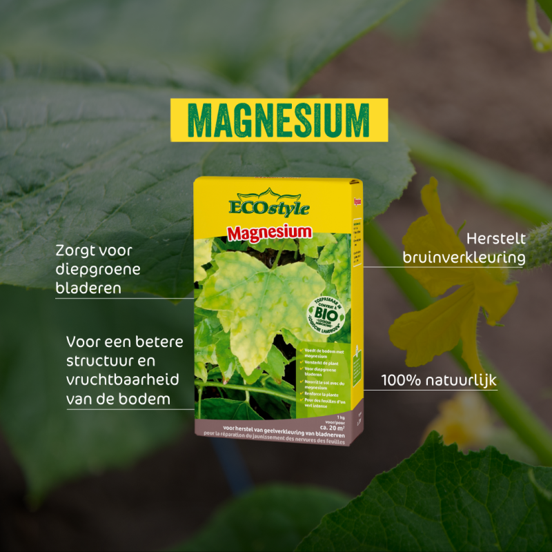 Magnesium 1 kg