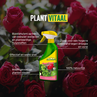 Plant Vitaal 500 ml