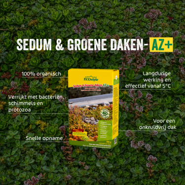 Sedum & Groene daken-AZ, 800 gram Sedum & Groene daken-AZ, 800 gram