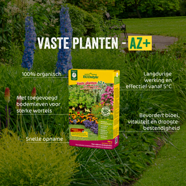 Vaste planten-AZ 1,6 kg.