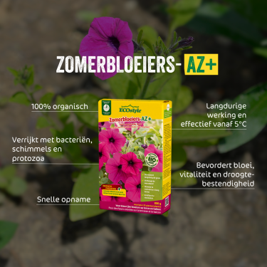Zomerbloeiers-AZ 800 gram