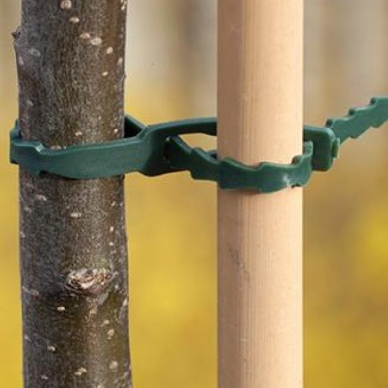 Bindband, universeel met rattenstaartsluting groen 17 cm set à 40 stuks Bindband, universeel met rattenstaartsluting groen 17 cm set à 40 stuks