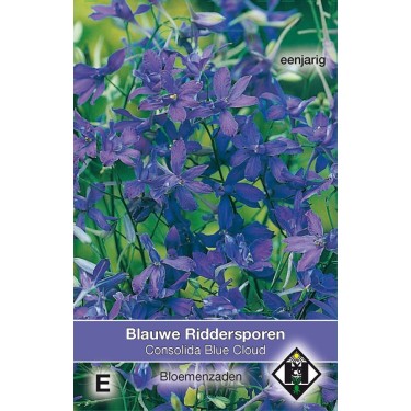 Consolida regalis 'Blue Cloud'