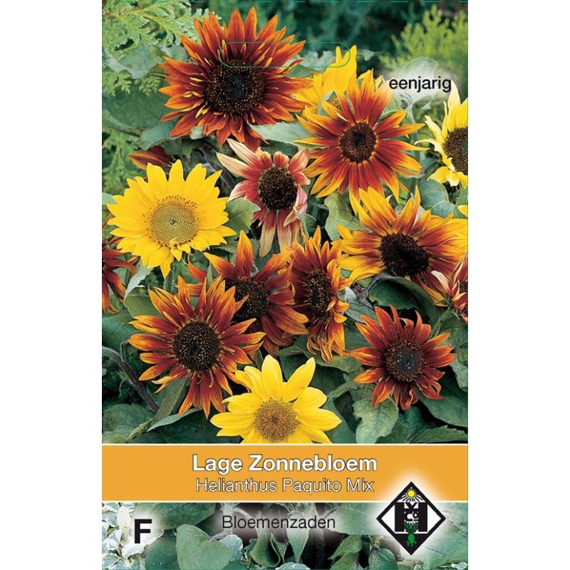 Helianthus a. 'Paquito Mix' Helianthus a. 'Paquito Mix'