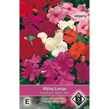 Impatiens walleriana 'Baby Mix' Impatiens walleriana 'Baby Mix'