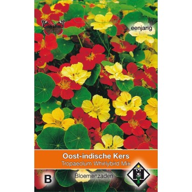 Tropaeolum m. n. 'Whirlybird Mix' Tropaeolum m. n. 'Whirlybird Mix'