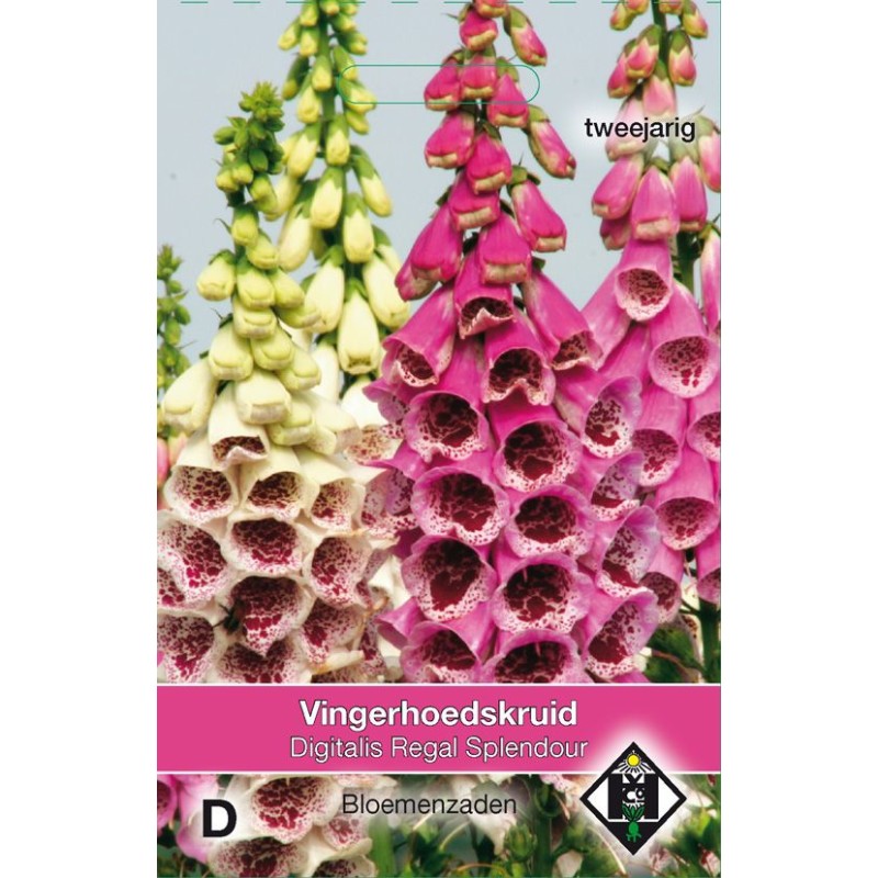 Digitalis purpurea 'Regal Splendour'