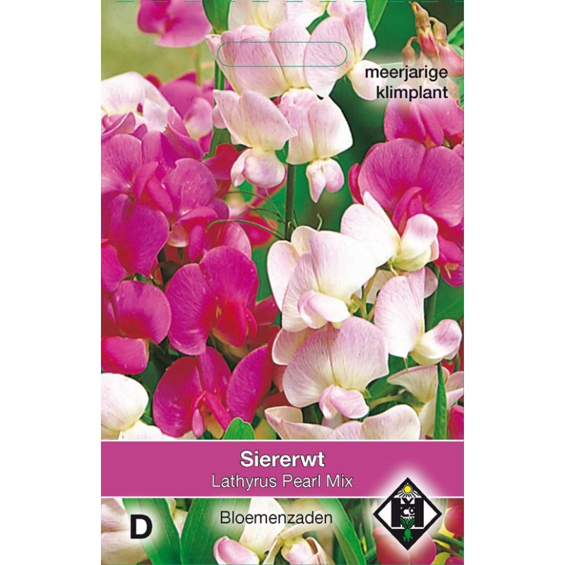 Lathyrus latifolius 'Pearl Mix' Lathyrus latifolius 'Pearl Mix'