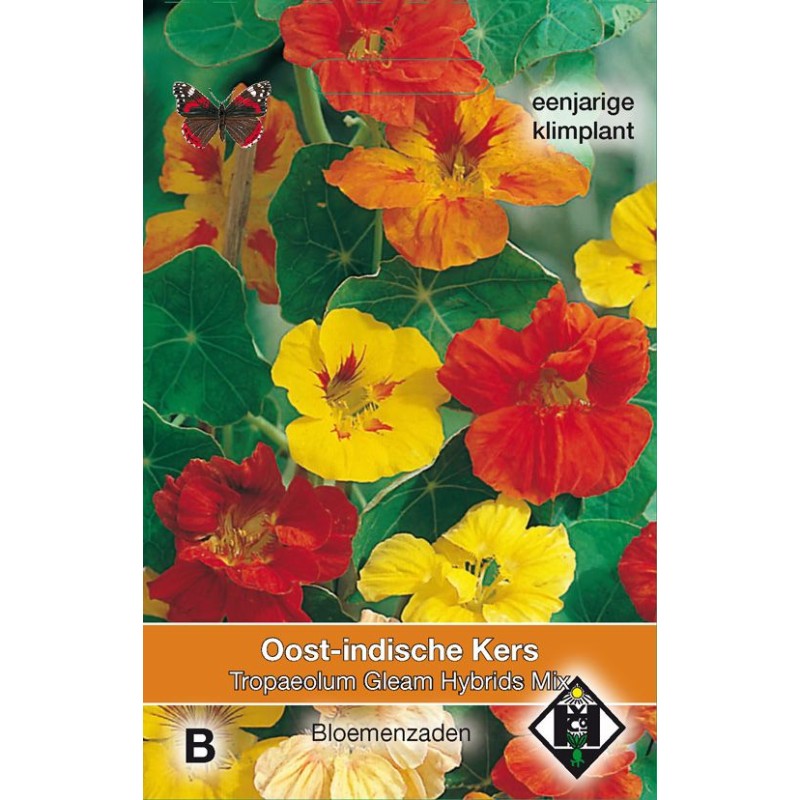 Tropaeolum majus 'Gleam Hybrids Mix' Tropaeolum majus 'Gleam Hybrids Mix'