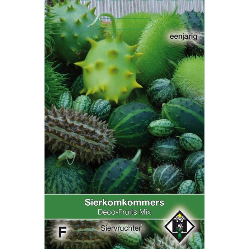 Cucumis 'Deco-Fruits Mix' Cucumis 'Deco-Fruits Mix'