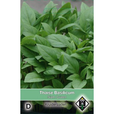 Thaise Basilicum / Ocimum basilicum 'Siam Queen'