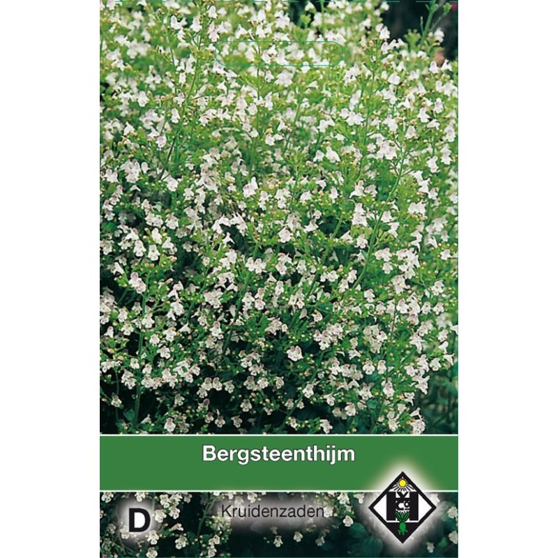 Bergsteen tijm / Calamintha nepeta Bergsteen tijm / Calamintha nepeta