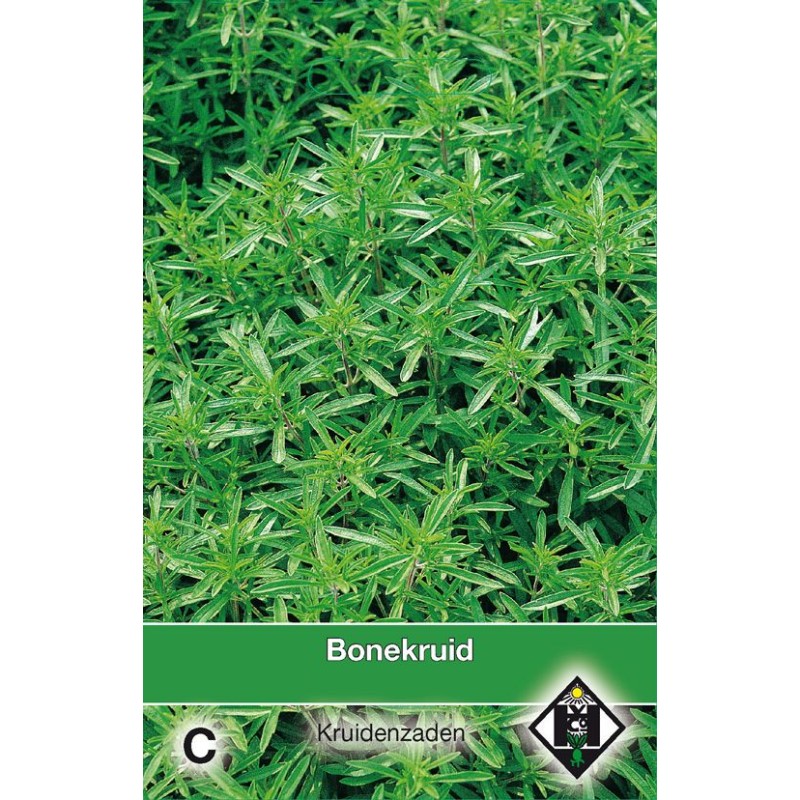 Bonekruid / Satureja hortensis Bonekruid / Satureja hortensis
