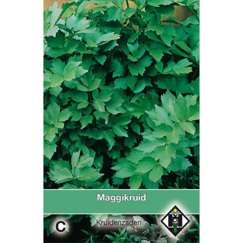 Lavas, Maggikruid / Levisticum officinale Lavas, Maggikruid / Levisticum officinale