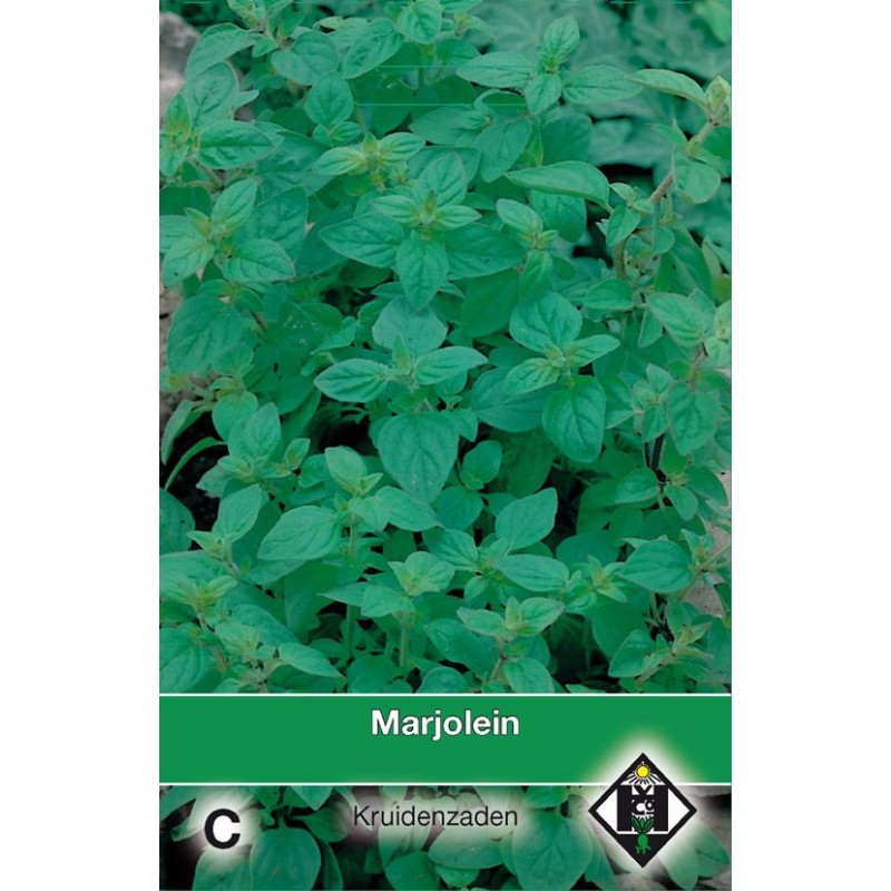 Marjolein / Origanum majorana Marjolein / Origanum majorana