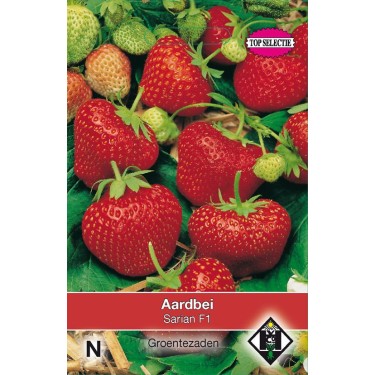 Aardbei, Fragaria x ananassa 'Sarian F1' Aardbei, Fragaria x ananassa 'Sarian F1'