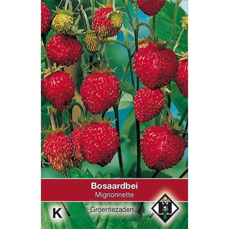 Bosaardbei, Fragaria vesca 'Mignonnette' Bosaardbei, Fragaria vesca 'Mignonnette'