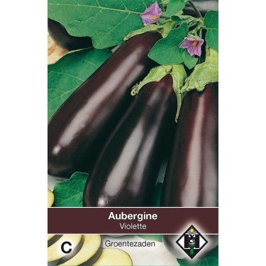 Aubergine, Solanum melongena 'Halflange Violette' Aubergine, Solanum melongena 'Halflange Violette'