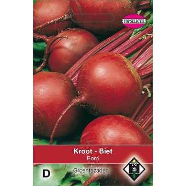 Biet - Kroot, Beta vulgaris 'Bora' Biet - Kroot, Beta vulgaris 'Bora'
