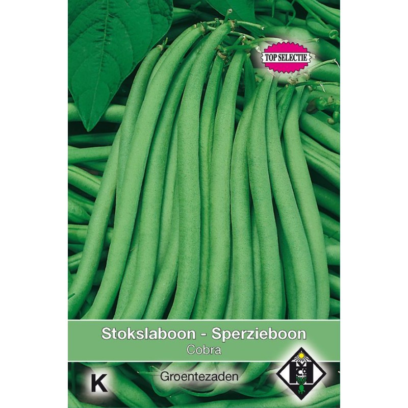 Stokslaboon - Sperzieboon, Phaseolus vulgaris 'Cobra', 30 gr. Stokslaboon - Sperzieboon, Phaseolus vulgaris 'Cobra', 30 gr.