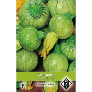Courgette, Cucurbita pepo 'Tondo di Nizza' Courgette, Cucurbita pepo 'Tondo di Nizza'