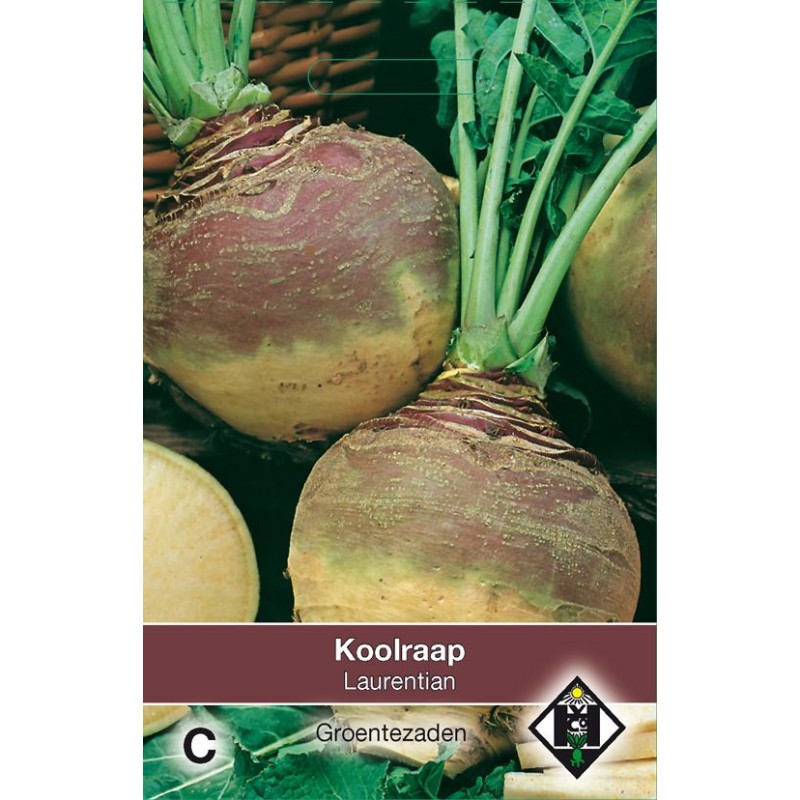 Koolraap, Brassica napus napobrassica 'Laurentian' Koolraap, Brassica napus napobrassica 'Laurentian'