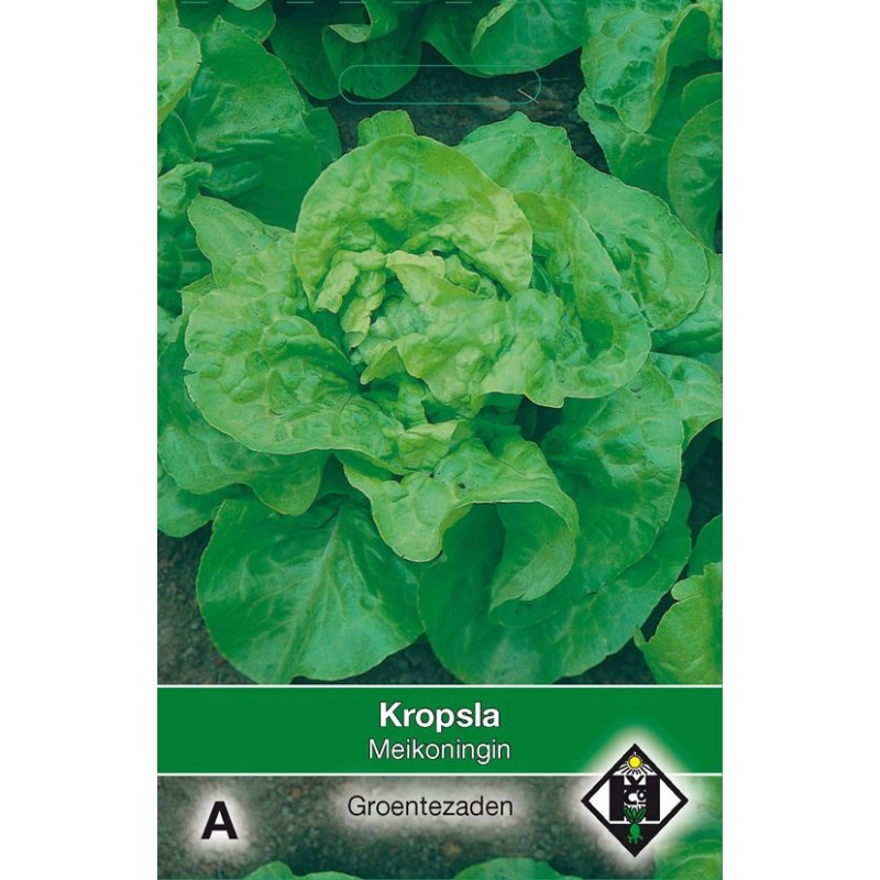 Kropsla, Lactuca sativa 'Meikoningin'