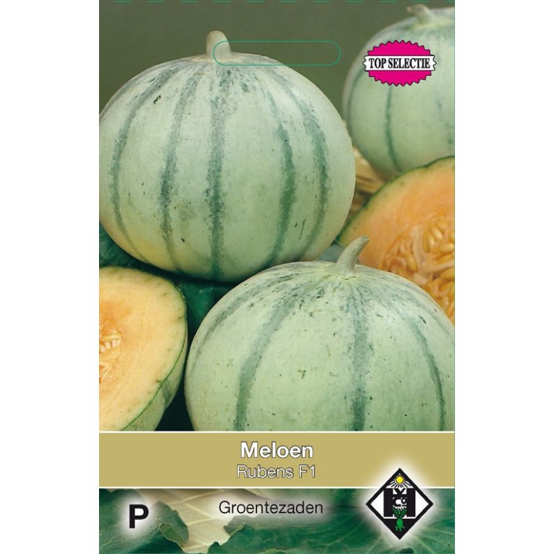 Meloen, Cucumis melo 'Rubens F1' Meloen, Cucumis melo 'Rubens F1'