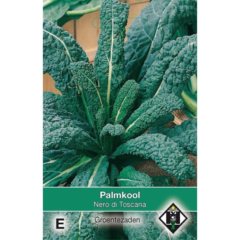 Palmkool, Brassica oleracea sabellica 'Nero di Toscana' Palmkool, Brassica oleracea sabellica 'Nero di Toscana'