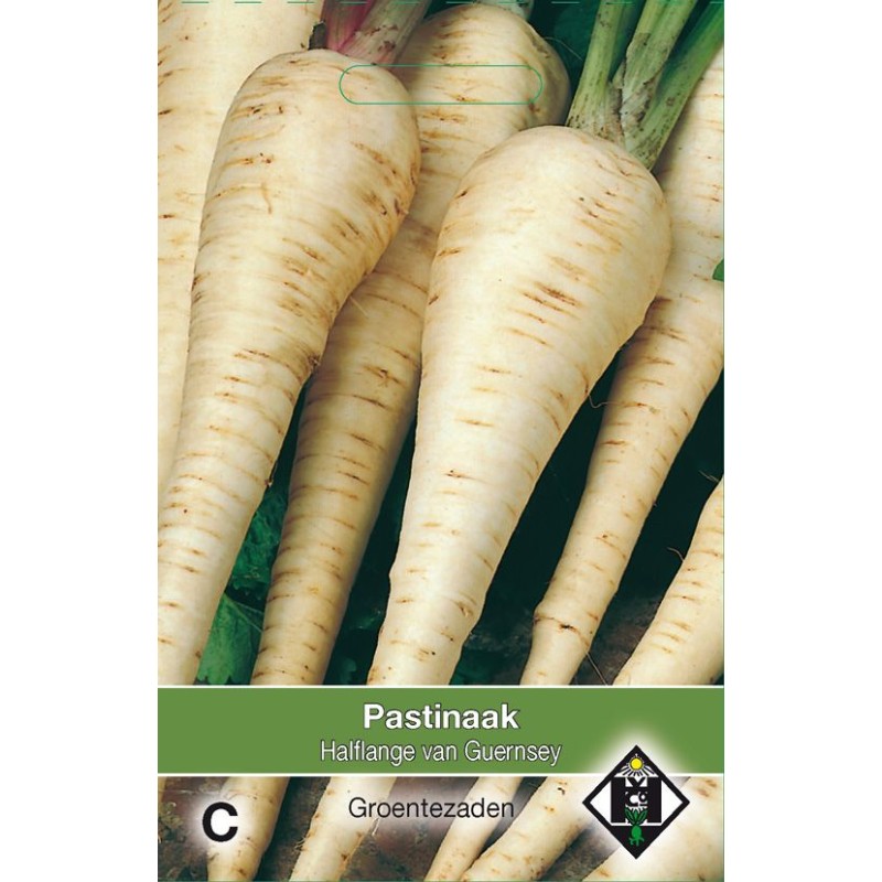 Pastinaak, Pastinaca sativa 'Halflange van Guernsey' Pastinaak, Pastinaca sativa 'Halflange van Guernsey'