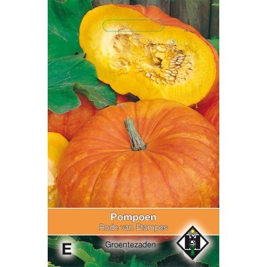 Pompoen, Cucurbita maxima 'Rode van Etampes' Pompoen, Cucurbita maxima 'Rode van Etampes'