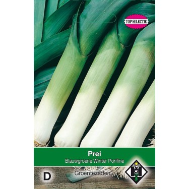 Prei, Allium porrum 'Blauwgroene Winter Porifine' Prei, Allium porrum 'Blauwgroene Winter Porifine'