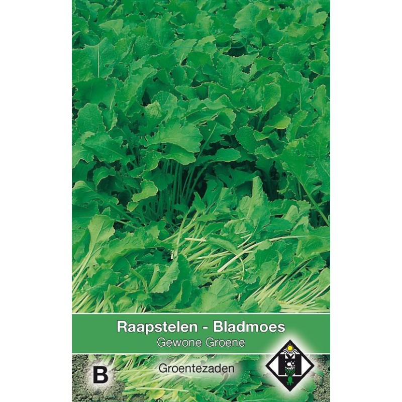 Raapstelen - Bladmoes, Brassica campestris 'Gewone Groene' Raapstelen - Bladmoes, Brassica campestris 'Gewone Groene'