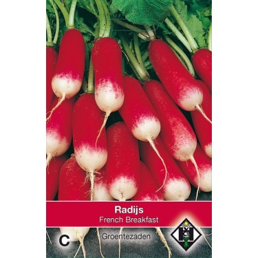 Radijs, Raphanus sativus 'French Breakfast' Radijs, Raphanus sativus 'French Breakfast'