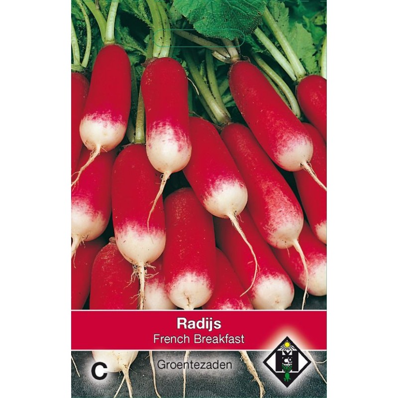 Radijs, Raphanus sativus 'French Breakfast' Radijs, Raphanus sativus 'French Breakfast'
