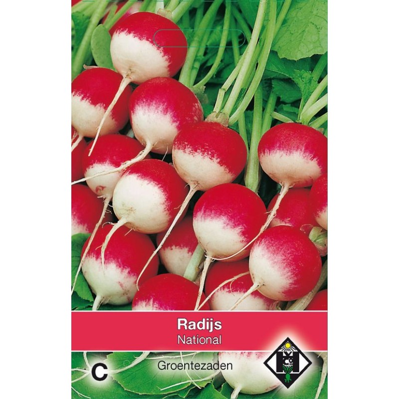 Radijs, Raphanus sativus 'National' Radijs, Raphanus sativus 'National'