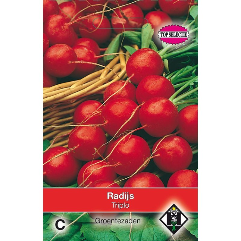 Radijs, Raphanus sativus 'Triplo' Radijs, Raphanus sativus 'Triplo'