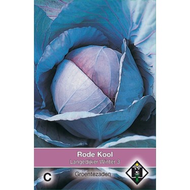 Rode kool, Brassica oleracea rubra 'Langedijker Winter 3' Rode kool, Brassica oleracea rubra 'Langedijker Winter 3'