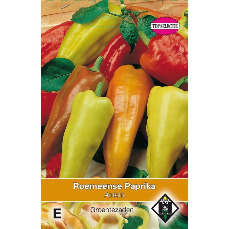 Roemeense Paprika, Capsicum annuum 'Antohi' Roemeense Paprika, Capsicum annuum 'Antohi'